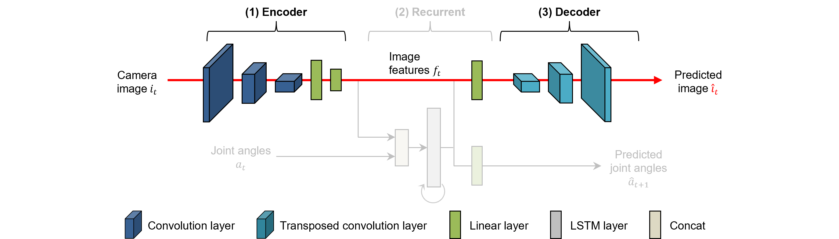 Network structure of CAE